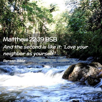 Picture 02 - Matthew 22:39 BSB - And the second is like it: ‘Love your neighbor - Bible Verse Picture