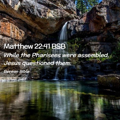 Picture 02 - Matthew 22:41 BSB - While the Pharisees were assembled, Jesus - Bible Verse Picture
