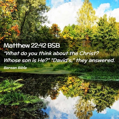 Picture 02 - Matthew 22:42 BSB - “What do you think about the Christ? Whose son - Bible Verse Picture