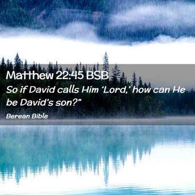 Picture 02 - Matthew 22:45 BSB - So if David calls Him ‘Lord,’ how can He be - Bible Verse Picture