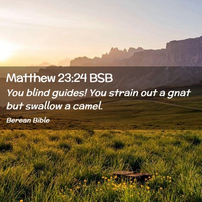 Picture 02 - Matthew 23:24 BSB - You blind guides! You strain out a gnat but - Bible Verse Picture