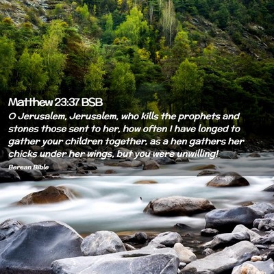 Picture 02 - Matthew 23:37 BSB - O Jerusalem, Jerusalem, who kills the prophets - Bible Verse Picture
