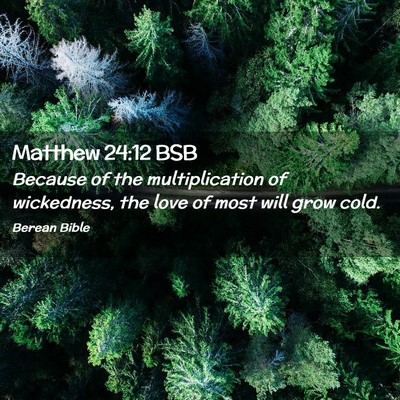 Picture 02 - Matthew 24:12 BSB - Because of the multiplication of wickedness, the - Bible Verse Picture