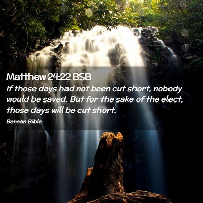 Picture 02 - Matthew 24:22 BSB - If those days had not been cut short, nobody - Bible Verse Picture