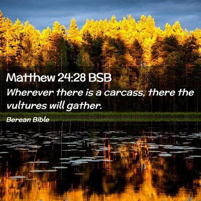 Picture 02 - Matthew 24:28 BSB - Wherever there is a carcass, there the vultures - Bible Verse Picture