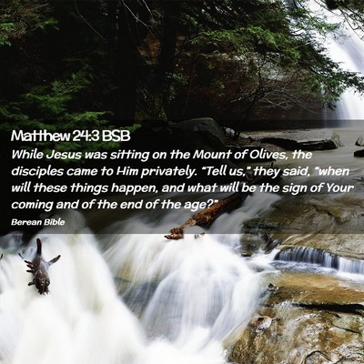 Picture 02 - Matthew 24:3 BSB - While Jesus was sitting on the Mount of Olives, - Bible Verse Picture