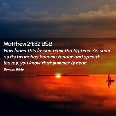 Picture 02 - Matthew 24:32 BSB - Now learn this lesson from the fig tree: As soon - Bible Verse Picture