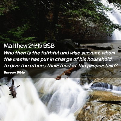 Picture 02 - Matthew 24:45 BSB - Who then is the faithful and wise servant, whom - Bible Verse Picture