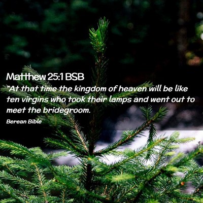 Picture 02 - Matthew 25:1 BSB - “At that time the kingdom of heaven will be - Bible Verse Picture