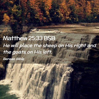 Picture 02 - Matthew 25:33 BSB - He will place the sheep on His right and the - Bible Verse Picture