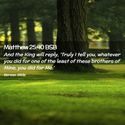 Picture 02 - Matthew 25:40 BSB - And the King will reply, ‘Truly I tell you, - Bible Verse Picture