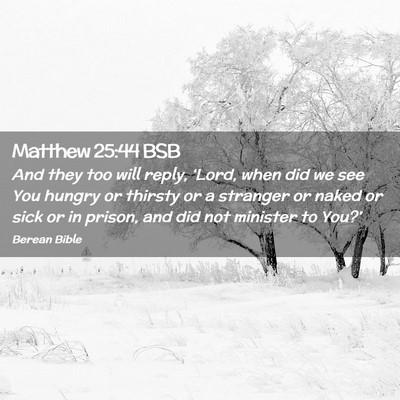 Picture 02 - Matthew 25:44 BSB - And they too will reply, ‘Lord, when did we see - Bible Verse Picture