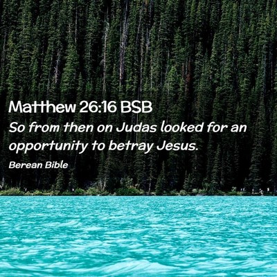 Picture 02 - Matthew 26:16 BSB - So from then on Judas looked for an opportunity - Bible Verse Picture