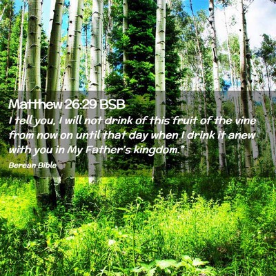 Picture 02 - Matthew 26:29 BSB - I tell you, I will not drink of this fruit of the - Bible Verse Picture