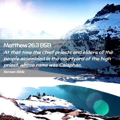Picture 02 - Matthew 26:3 BSB - At that time the chief priests and elders of the - Bible Verse Picture
