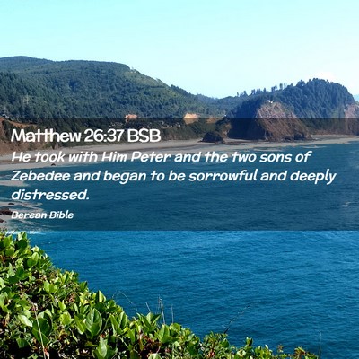 Picture 02 - Matthew 26:37 BSB - He took with Him Peter and the two sons of - Bible Verse Picture