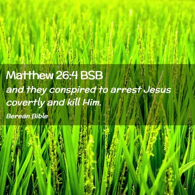 Picture 02 - Matthew 26:4 BSB - and they conspired to arrest Jesus covertly and - Bible Verse Picture