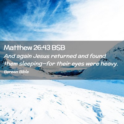 Picture 02 - Matthew 26:43 BSB - And again Jesus returned and found them - Bible Verse Picture