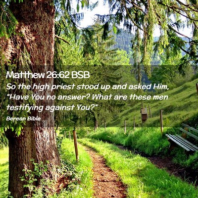 Picture 02 - Matthew 26:62 BSB - So the high priest stood up and asked Him, - Bible Verse Picture