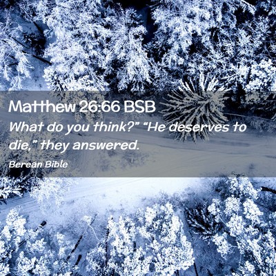 Picture 02 - Matthew 26:66 BSB - What do you think?” “He deserves to die,” - Bible Verse Picture