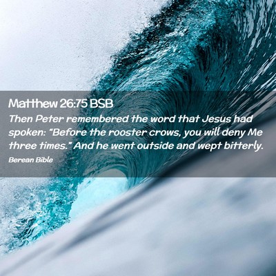 Picture 02 - Matthew 26:75 BSB - Then Peter remembered the word that Jesus had - Bible Verse Picture