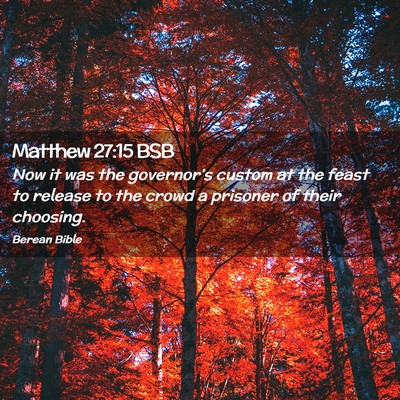 Picture 02 - Matthew 27:15 BSB - Now it was the governor’s custom at the feast - Bible Verse Picture