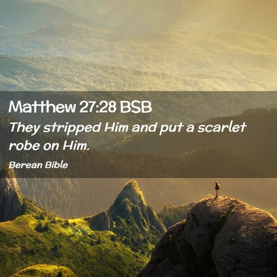 Picture 02 - Matthew 27:28 BSB - They stripped Him and put a scarlet robe on - Bible Verse Picture