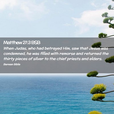 Picture 02 - Matthew 27:3 BSB - When Judas, who had betrayed Him, saw that Jesus - Bible Verse Picture