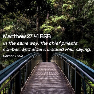 Picture 02 - Matthew 27:41 BSB - In the same way, the chief priests, scribes, and - Bible Verse Picture