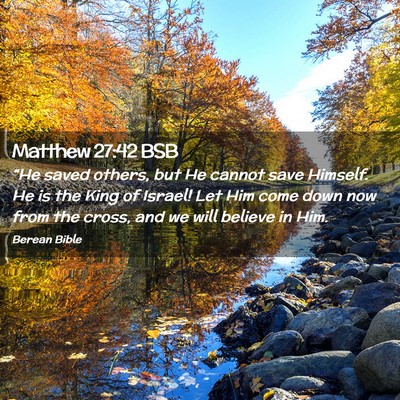 Picture 02 - Matthew 27:42 BSB - “He saved others, but He cannot save Himself. - Bible Verse Picture