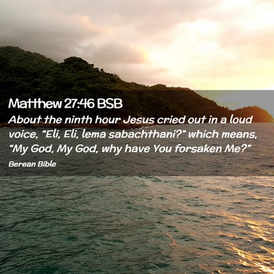 Picture 02 - Matthew 27:46 BSB - About the ninth hour Jesus cried out in a loud - Bible Verse Picture
