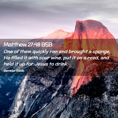 Picture 02 - Matthew 27:48 BSB - One of them quickly ran and brought a sponge. He - Bible Verse Picture