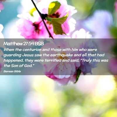 Picture 02 - Matthew 27:54 BSB - When the centurion and those with him who were - Bible Verse Picture