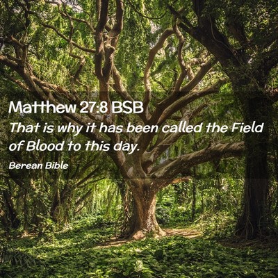 Picture 02 - Matthew 27:8 BSB - That is why it has been called the Field of Blood - Bible Verse Picture