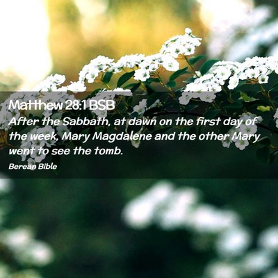Picture 02 - Matthew 28:1 BSB - After the Sabbath, at dawn on the first day of - Bible Verse Picture