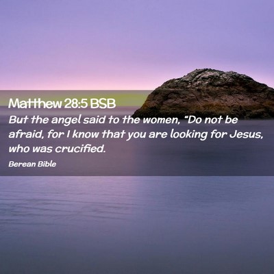 Picture 02 - Matthew 28:5 BSB - But the angel said to the women, “Do not be - Bible Verse Picture