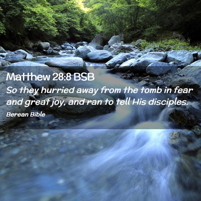 Picture 02 - Matthew 28:8 BSB - So they hurried away from the tomb in fear and - Bible Verse Picture