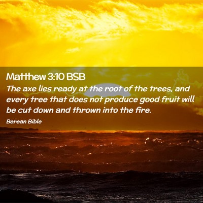 Picture 02 - Matthew 3:10 BSB - The axe lies ready at the root of the trees, and - Bible Verse Picture