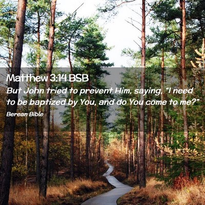Picture 02 - Matthew 3:14 BSB - But John tried to prevent Him, saying, “I need - Bible Verse Picture