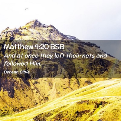 Picture 02 - Matthew 4:20 BSB - And at once they left their nets and followed - Bible Verse Picture