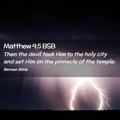 Picture 02 - Matthew 4:5 BSB - Then the devil took Him to the holy city and set - Bible Verse Picture