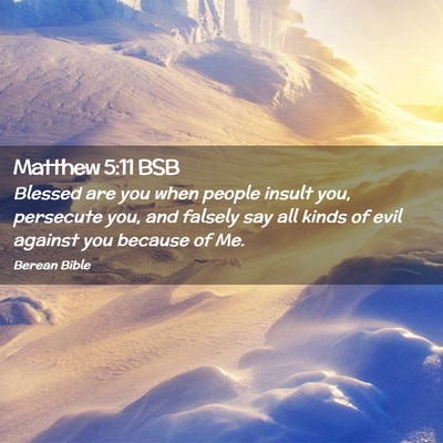 Picture 02 - Matthew 5:11 BSB - Blessed are you when people insult you, persecute - Bible Verse Picture