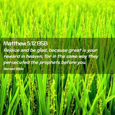 Picture 02 - Matthew 5:12 BSB - Rejoice and be glad, because great is your reward - Bible Verse Picture