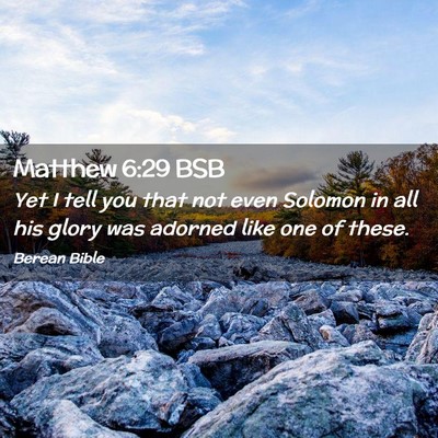 Picture 02 - Matthew 6:29 BSB - Yet I tell you that not even Solomon in all his - Bible Verse Picture