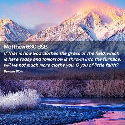 Picture 02 - Matthew 6:30 BSB - If that is how God clothes the grass of the - Bible Verse Picture