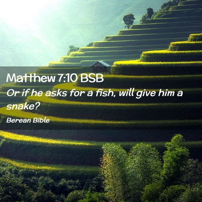 Picture 02 - Matthew 7:10 BSB - Or if he asks for a fish, will give him a - Bible Verse Picture