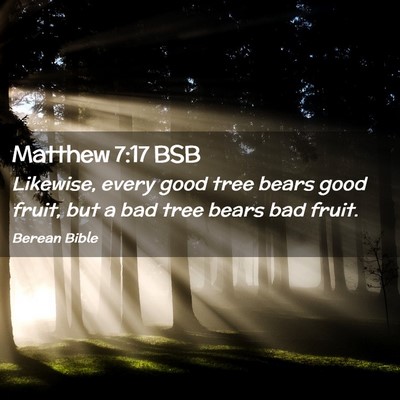 Picture 02 - Matthew 7:17 BSB - Likewise, every good tree bears good fruit, but a - Bible Verse Picture