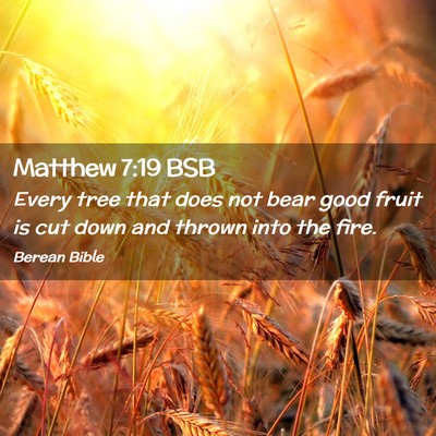 Picture 02 - Matthew 7:19 BSB - Every tree that does not bear good fruit is cut - Bible Verse Picture