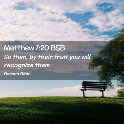 Picture 02 - Matthew 7:20 BSB - So then, by their fruit you will recognize - Bible Verse Picture