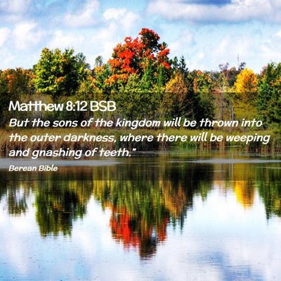 Picture 02 - Matthew 8:12 BSB - But the sons of the kingdom will be thrown into - Bible Verse Picture